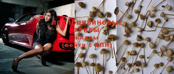 стафф Новокубанск
