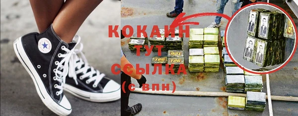 соль ск Гусь-Хрустальный