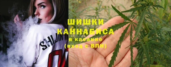 соль ск Гусь-Хрустальный