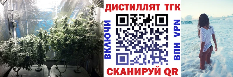 ТГК концентрат Белинский